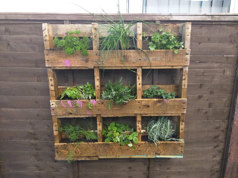 Vertical Recycled Pallet Herb Screens