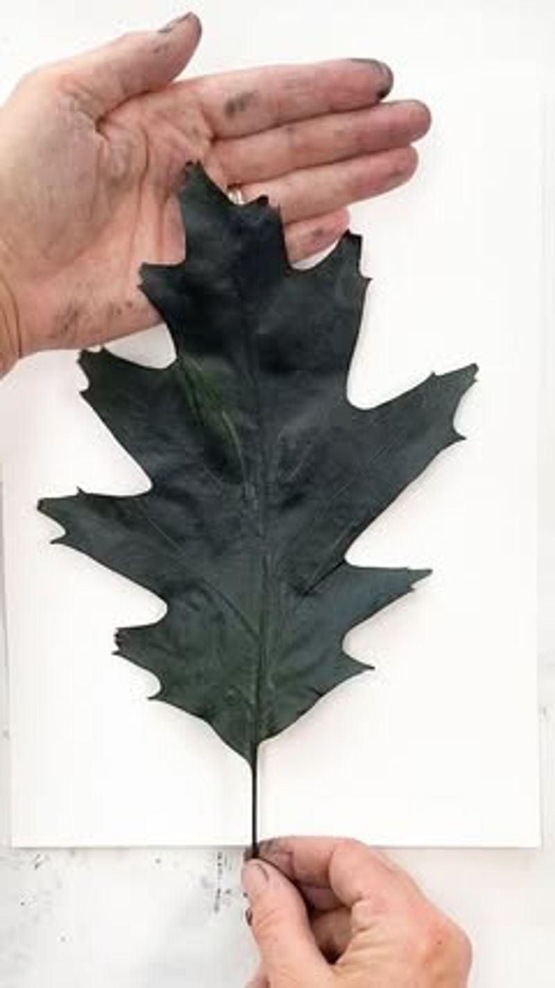 Clear Contact Paper