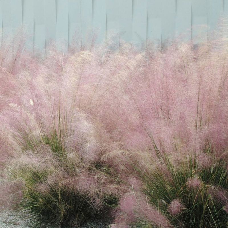 Mismatching Grass Types To Light Conditions