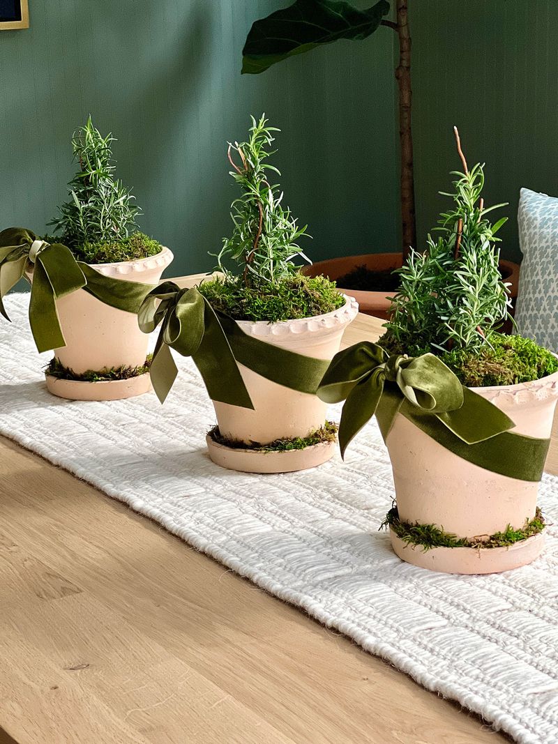 Rosemary Christmas Tree Centerpiece