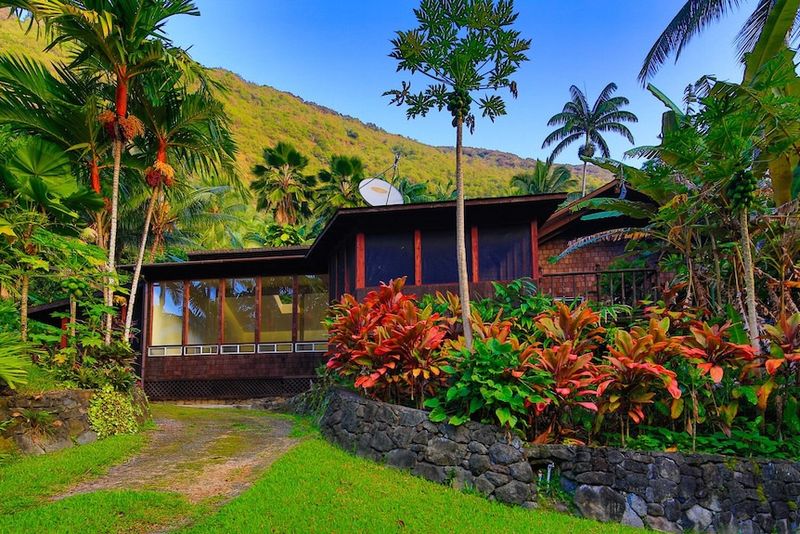 The Elder's Ti Garden Of Waipio Valley