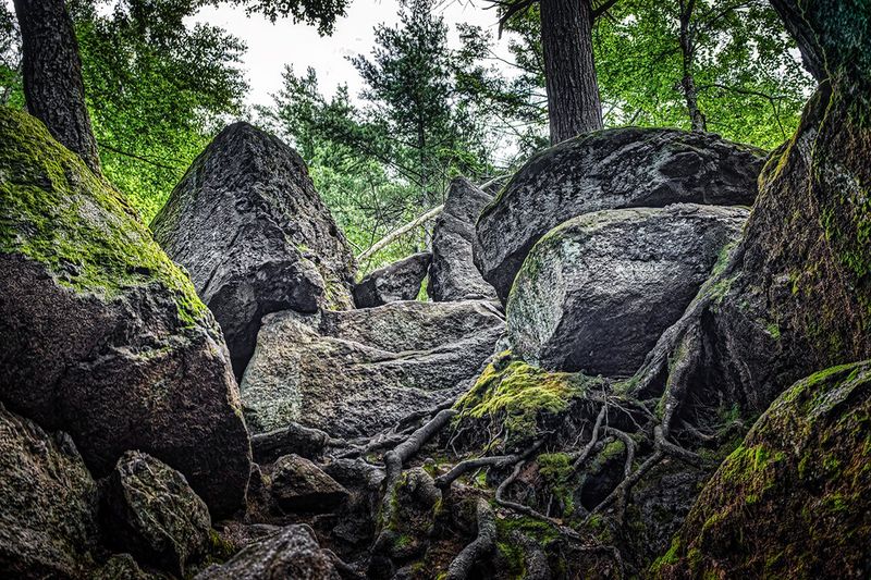 Purgatory Chasm State Reservation, Sutton