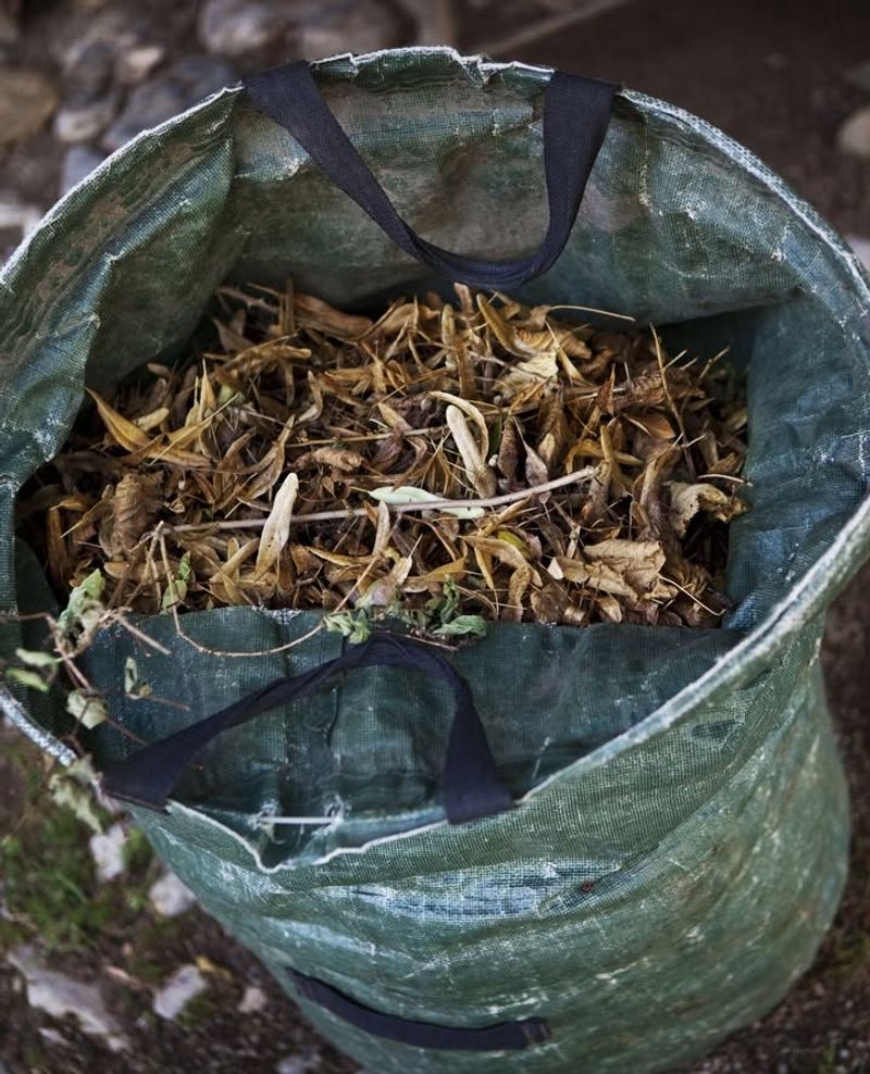 Mulch Those Leaves