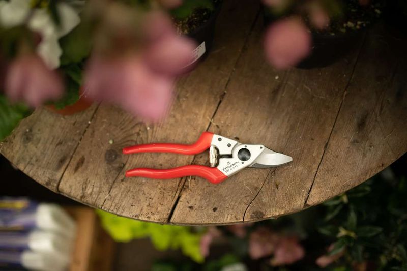 Bypass Pruners For Precision Cuts