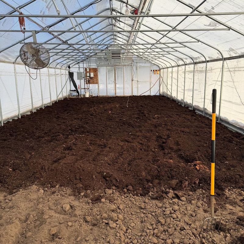 Previous Tomato Beds