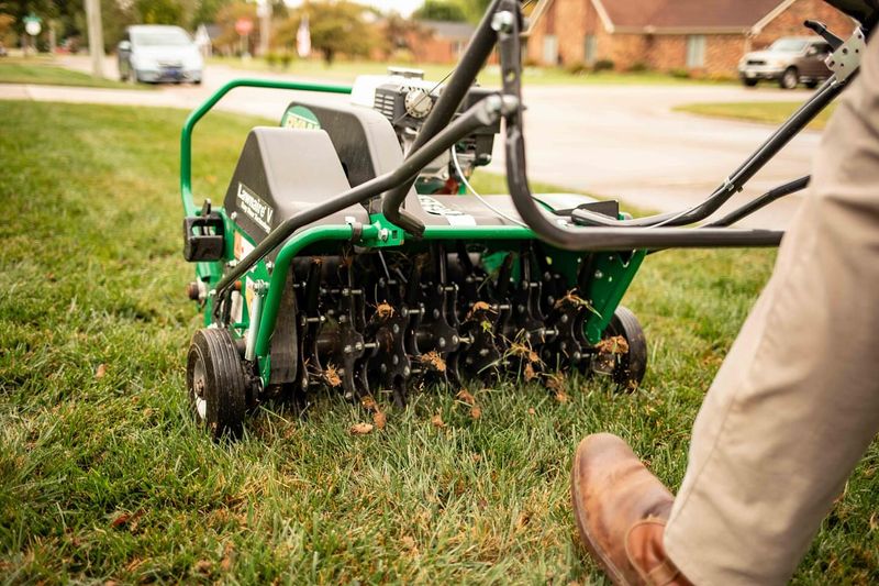 Dethatch And Aerate Before Spreading Seed