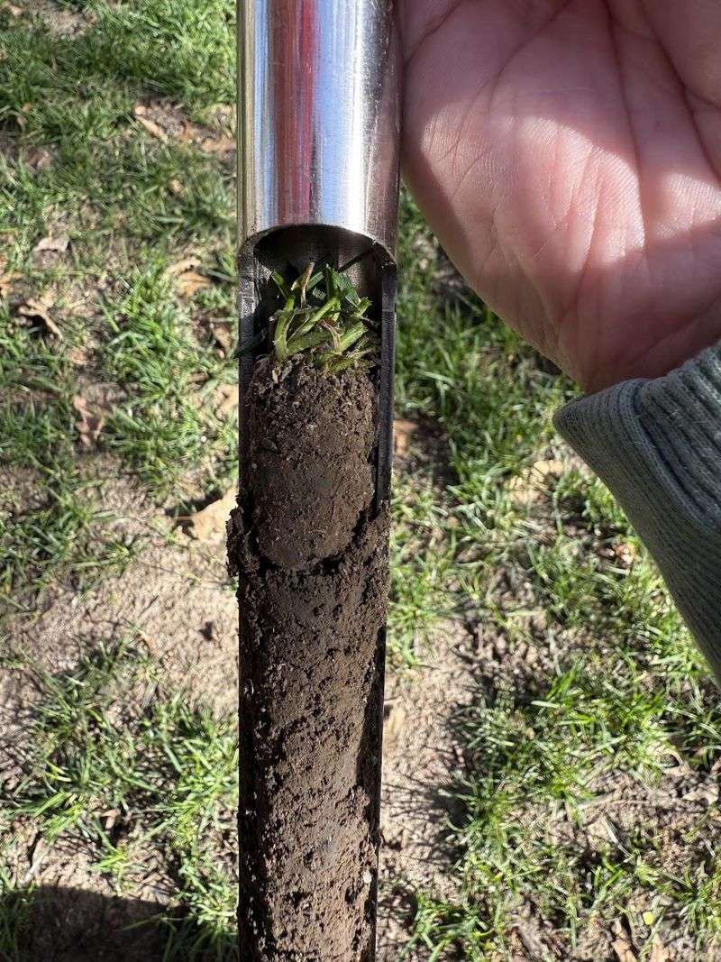 Ignoring Soil Health