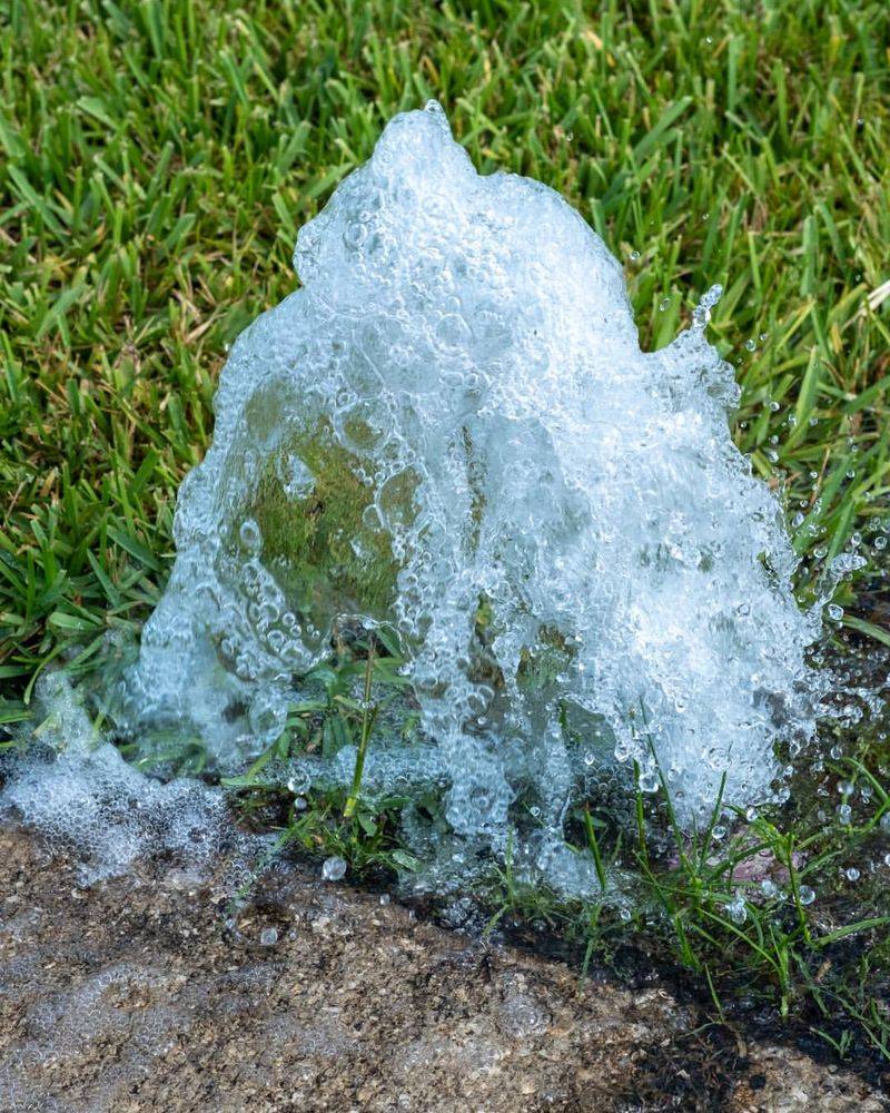 Watering At The Wrong Time