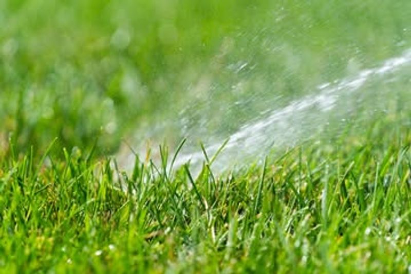 Watering at Wrong Times