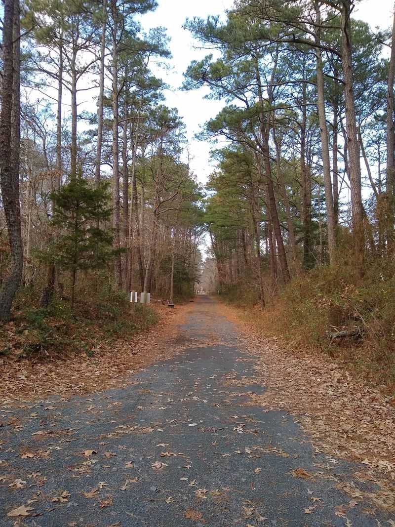 Junction & Breakwater Trail