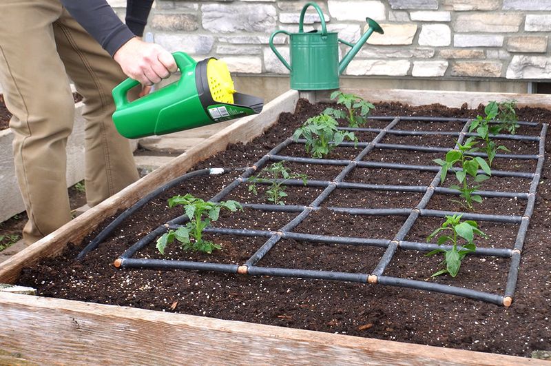 Late-Season Fertilizing