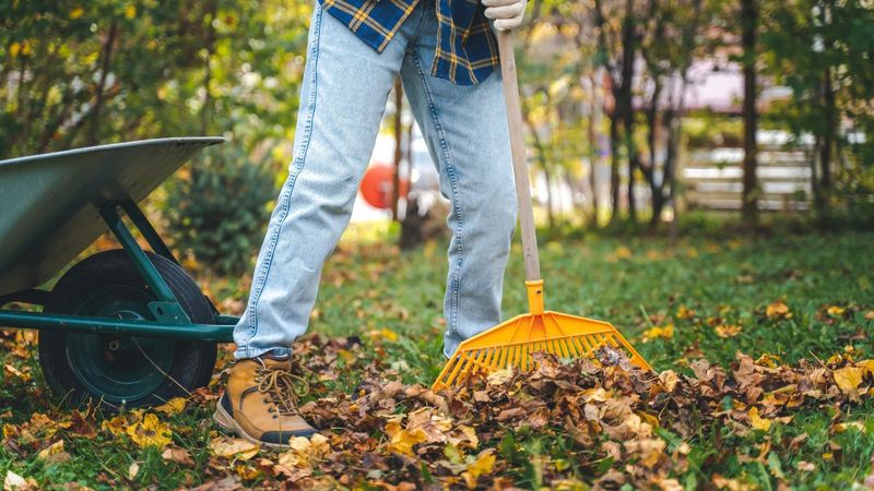 Raking Technique Matters