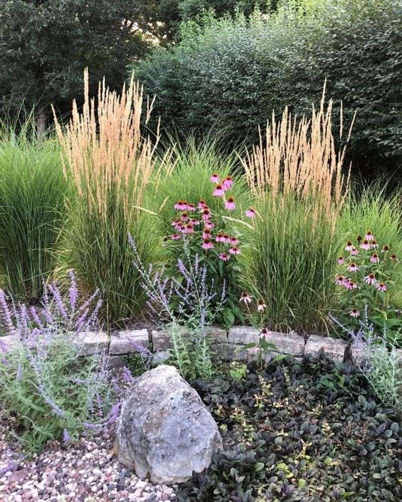 Ornamental Grasses