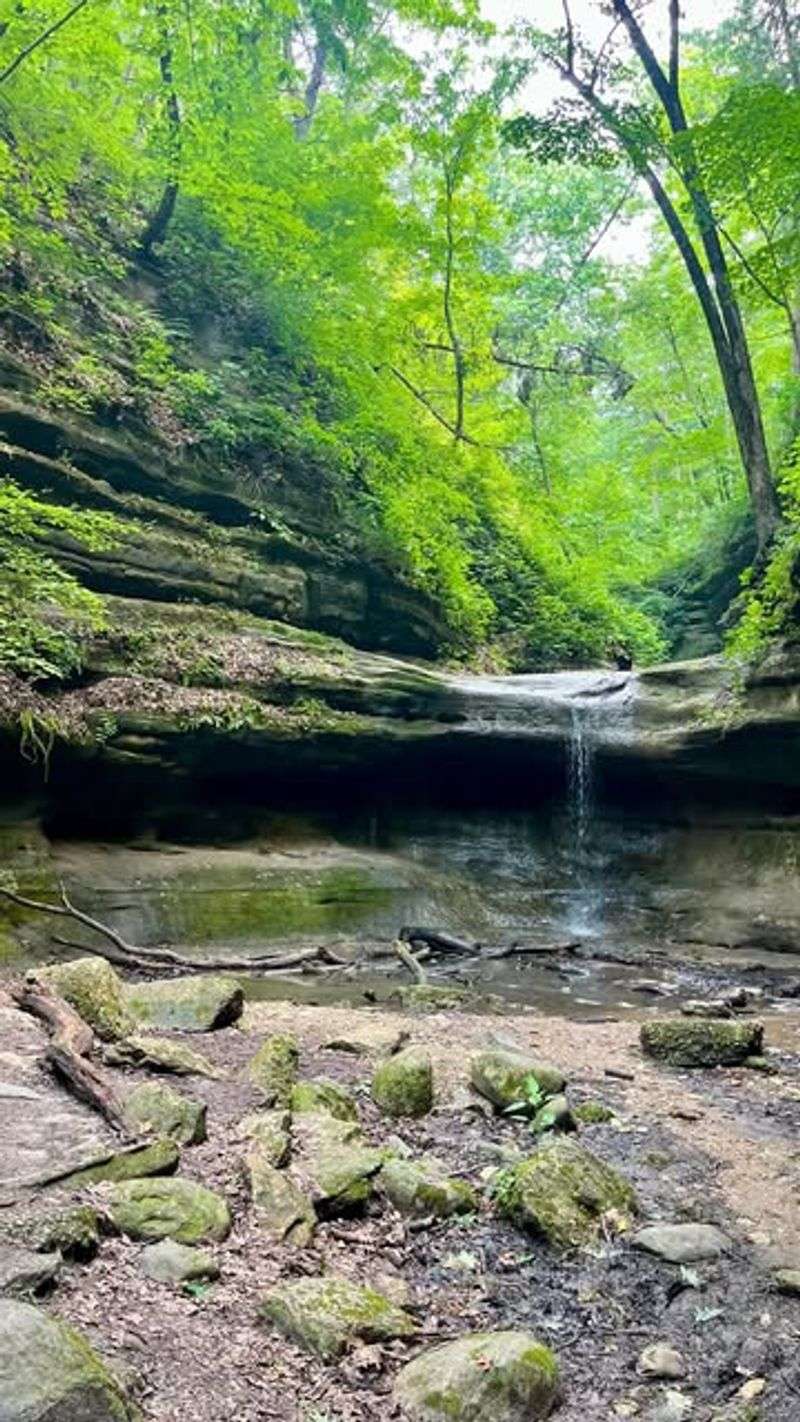 Starved Rock State Park