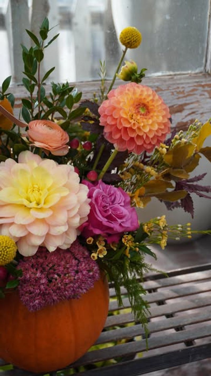 Pumpkins As Living Containers