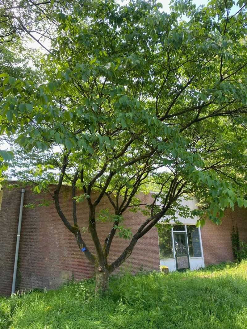 Four-Season Garden Interest