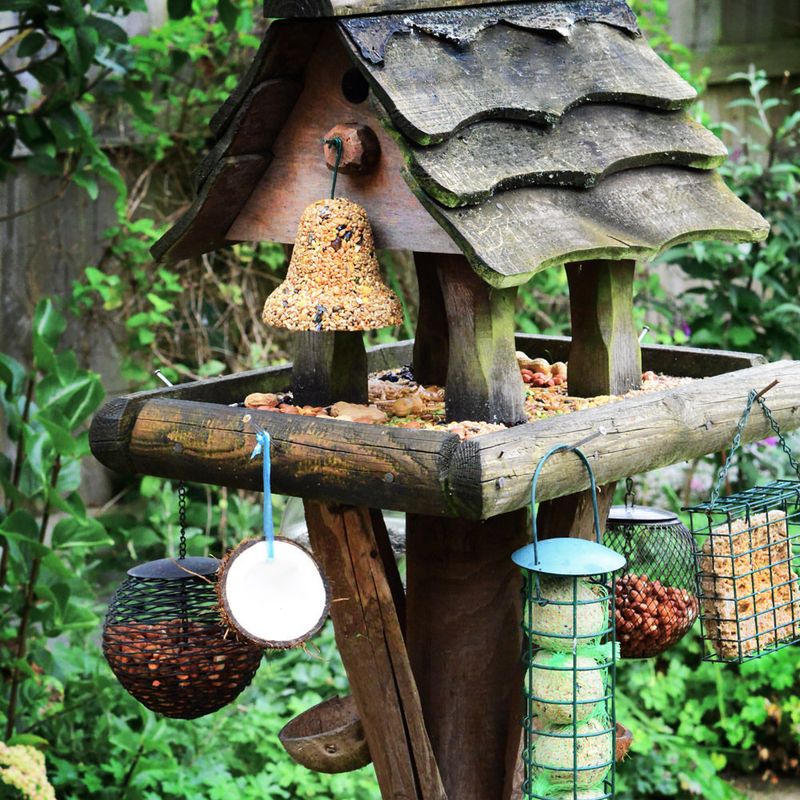 Bird Feeding Stations