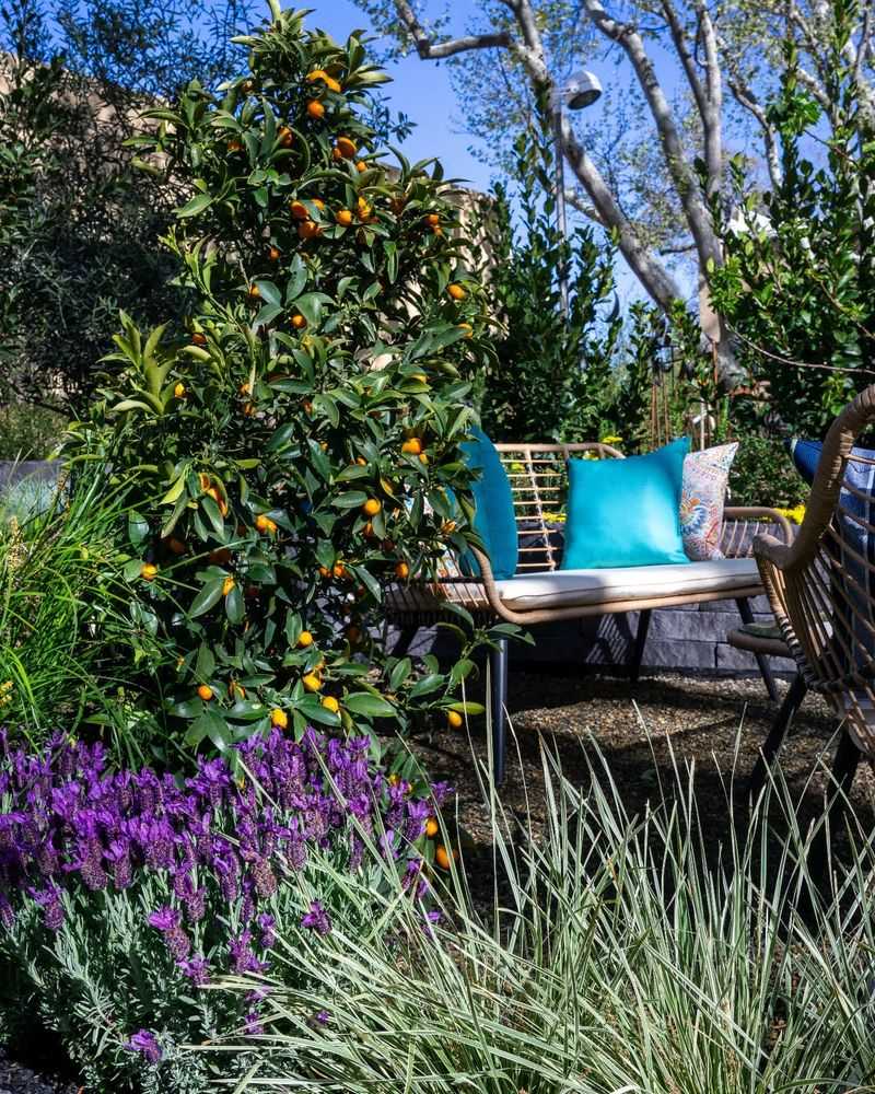 Citrus Groves As Landscape Features