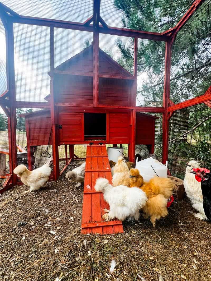 Chicken Coops Ruffling Feathers