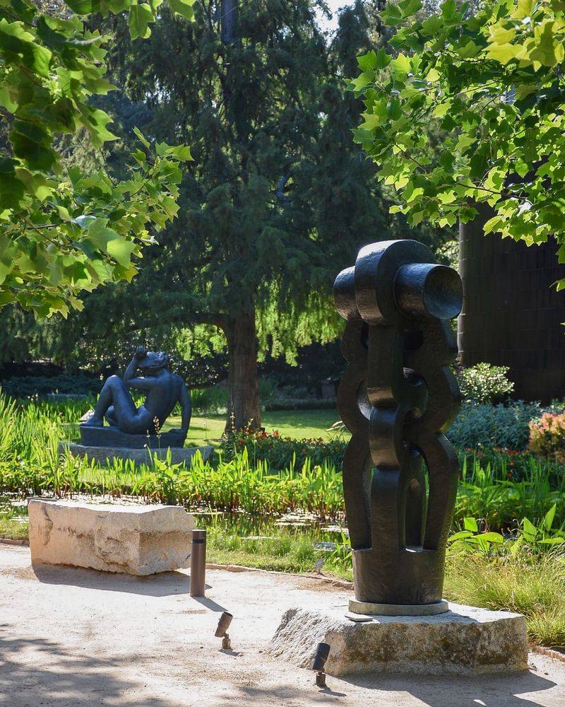 Sculptural Tree Grove