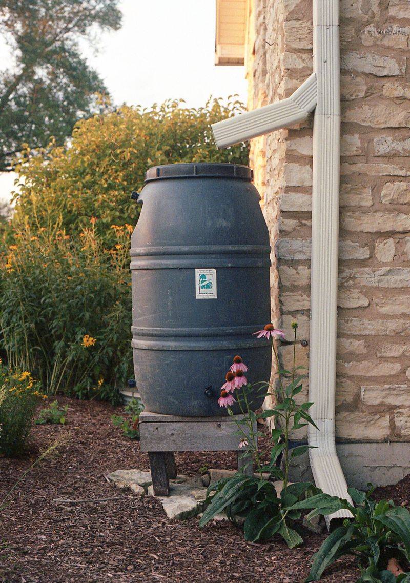 Rain Barrel Water Collection