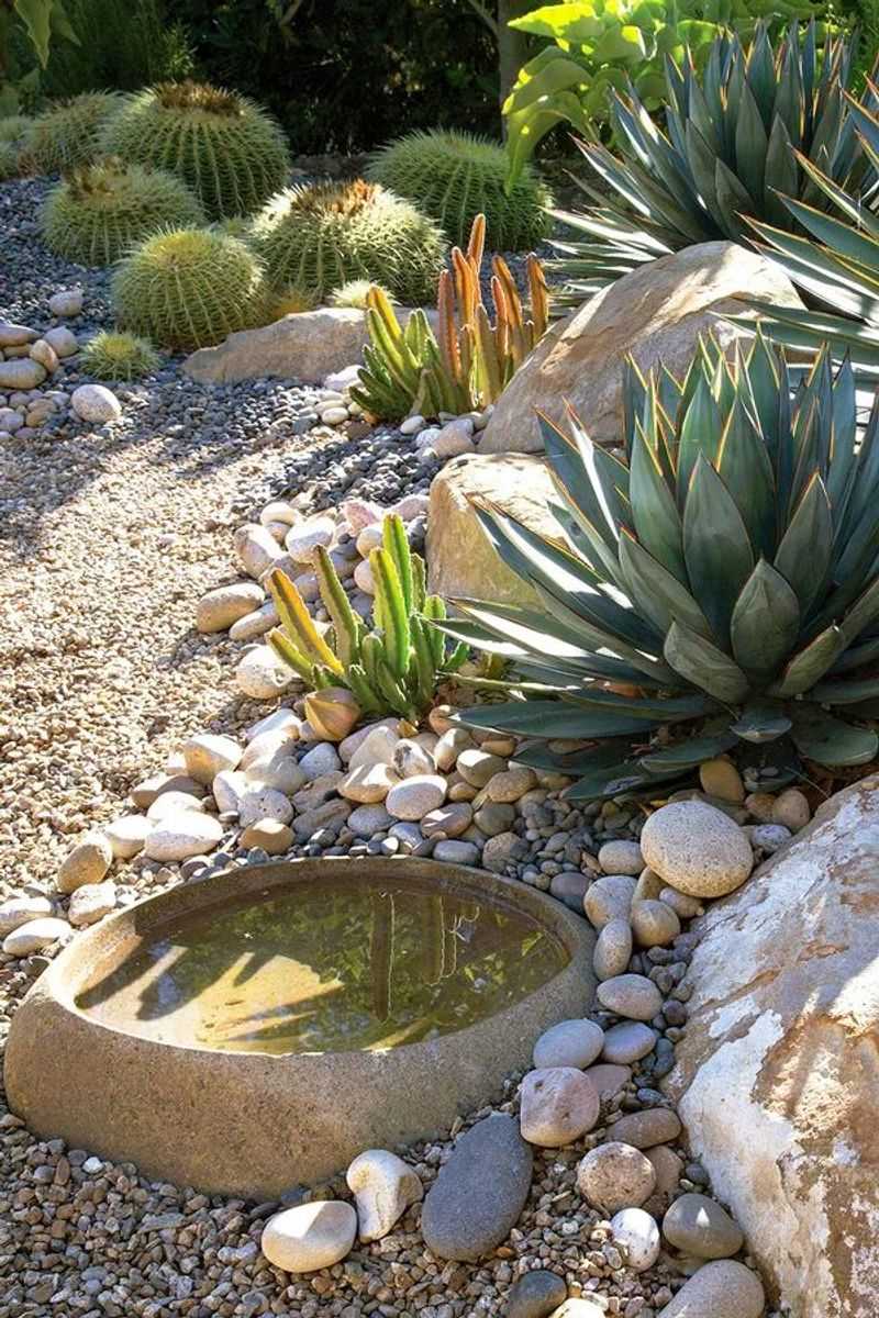 Drought-Resistant Succulent Borders