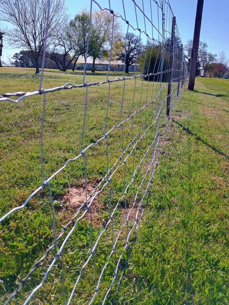 Strategic Fencing Solutions