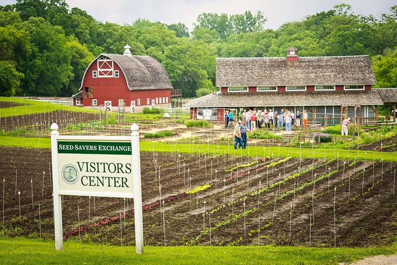 Decorah's Community Food Forest