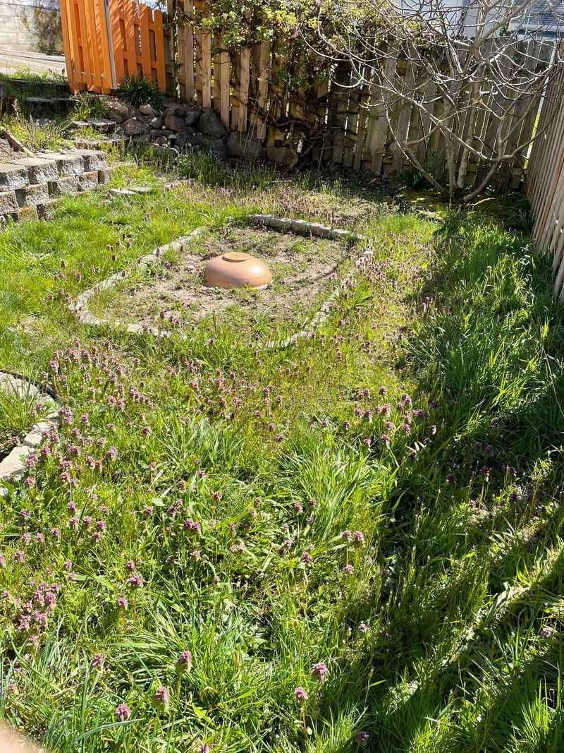 Improper Weed Control
