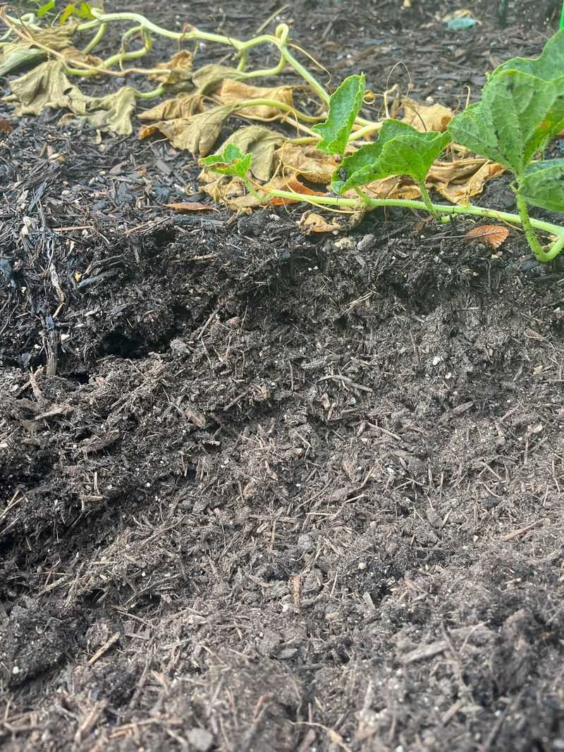 Compacting Soil