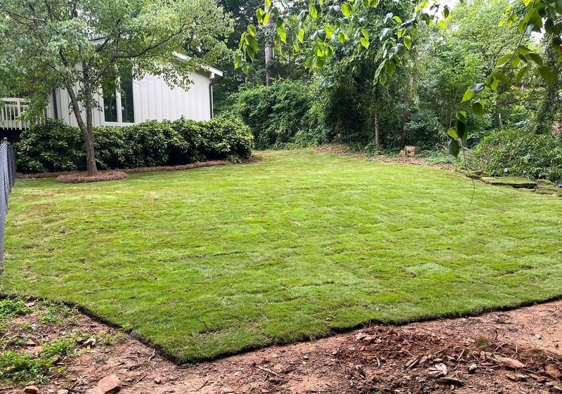 Fertilizing New Sod Too Soon