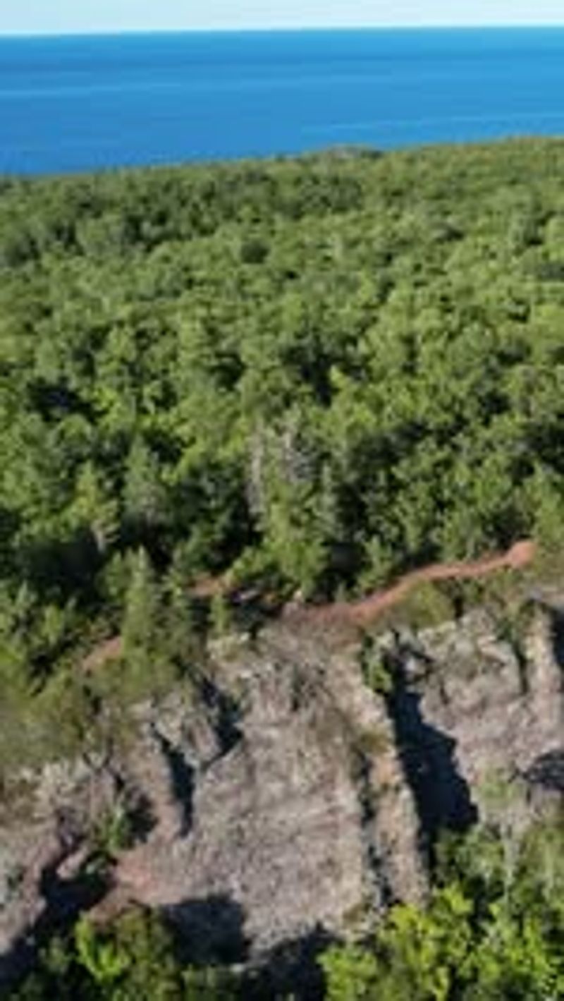 Horseshoe Bay Working Forest Reserve