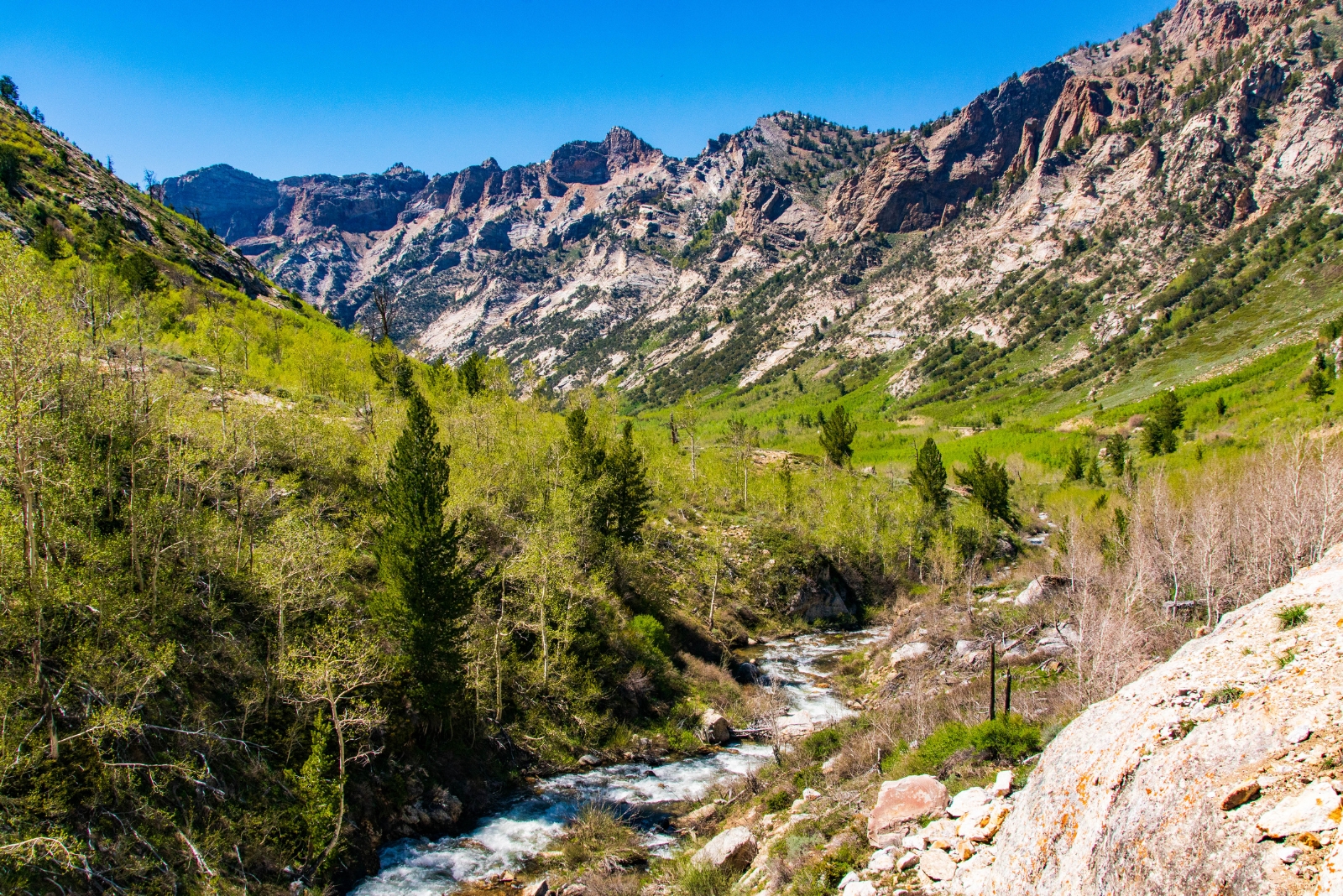 Lamoille Canyon