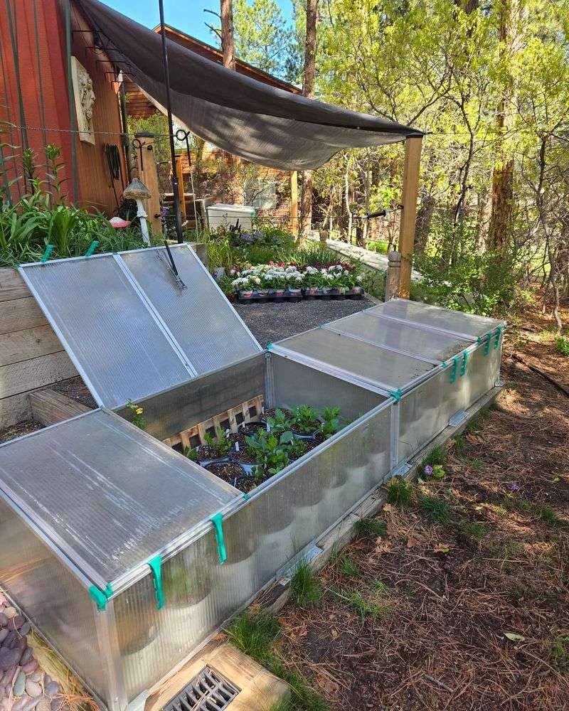 Pine Needle Cold Frame Insulation
