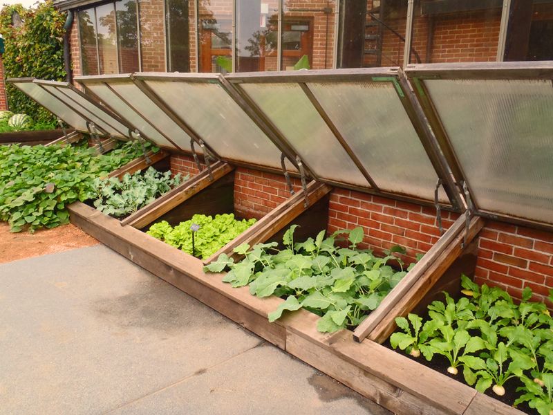 Cold Frame From Old Windows