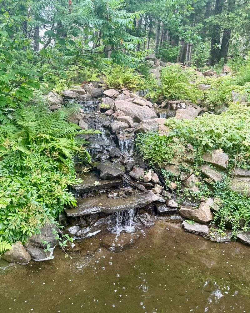 Ohme Gardens: Alpine Serenity With Panoramic Views