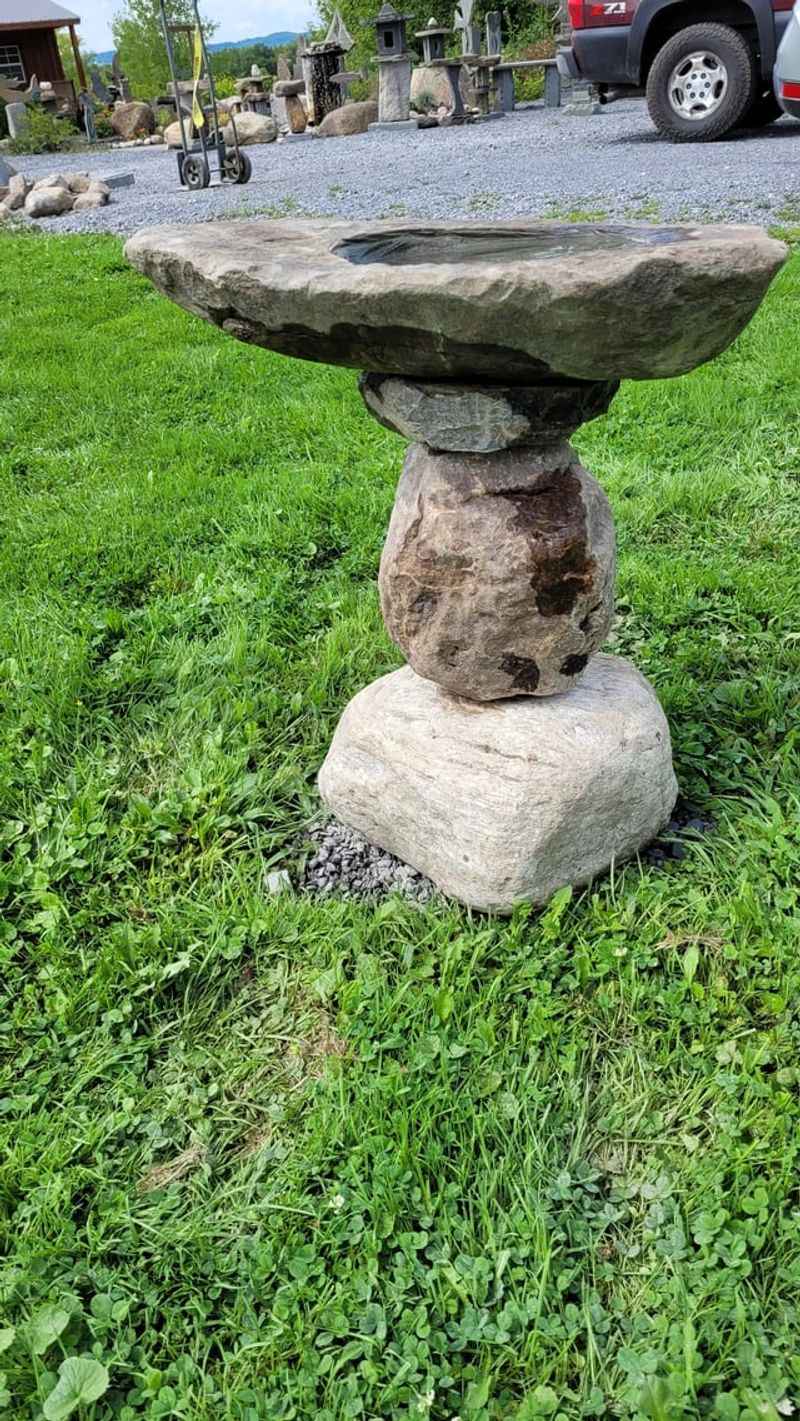 Slippery Surfaces Send Birds Sliding