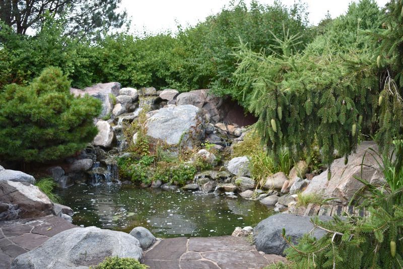 Linnaeus Arboretum