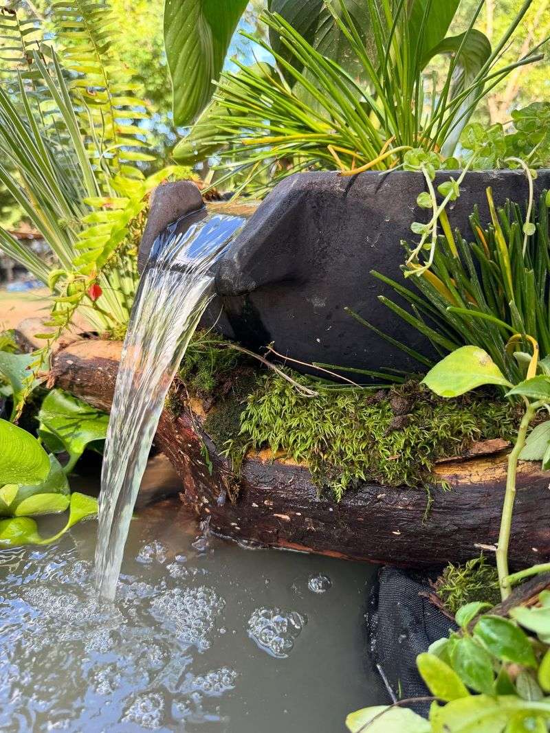 Invasive Water Features