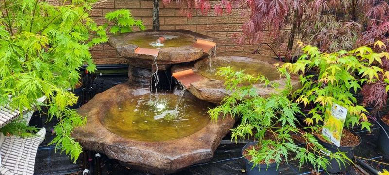 Water-Intensive Lawn Features