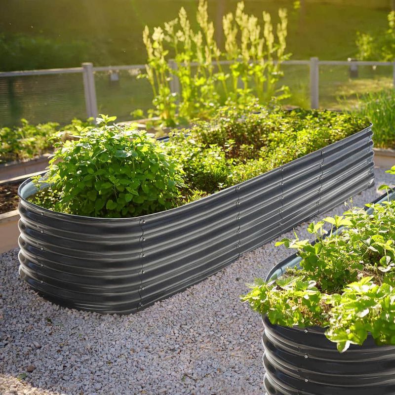 Raised Garden Beds Near Sidewalks