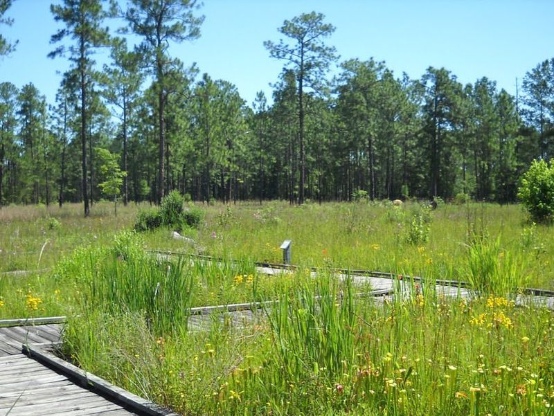 Crosby Arboretum