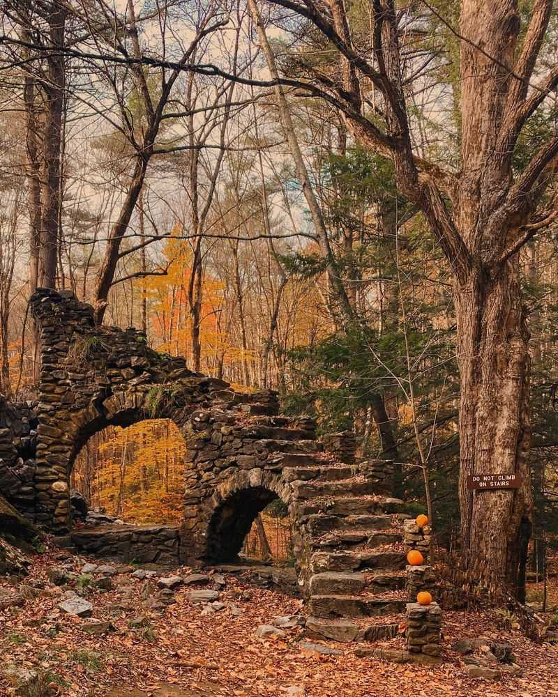 Madame Sherri Forest's Enchanted Castle Ruins