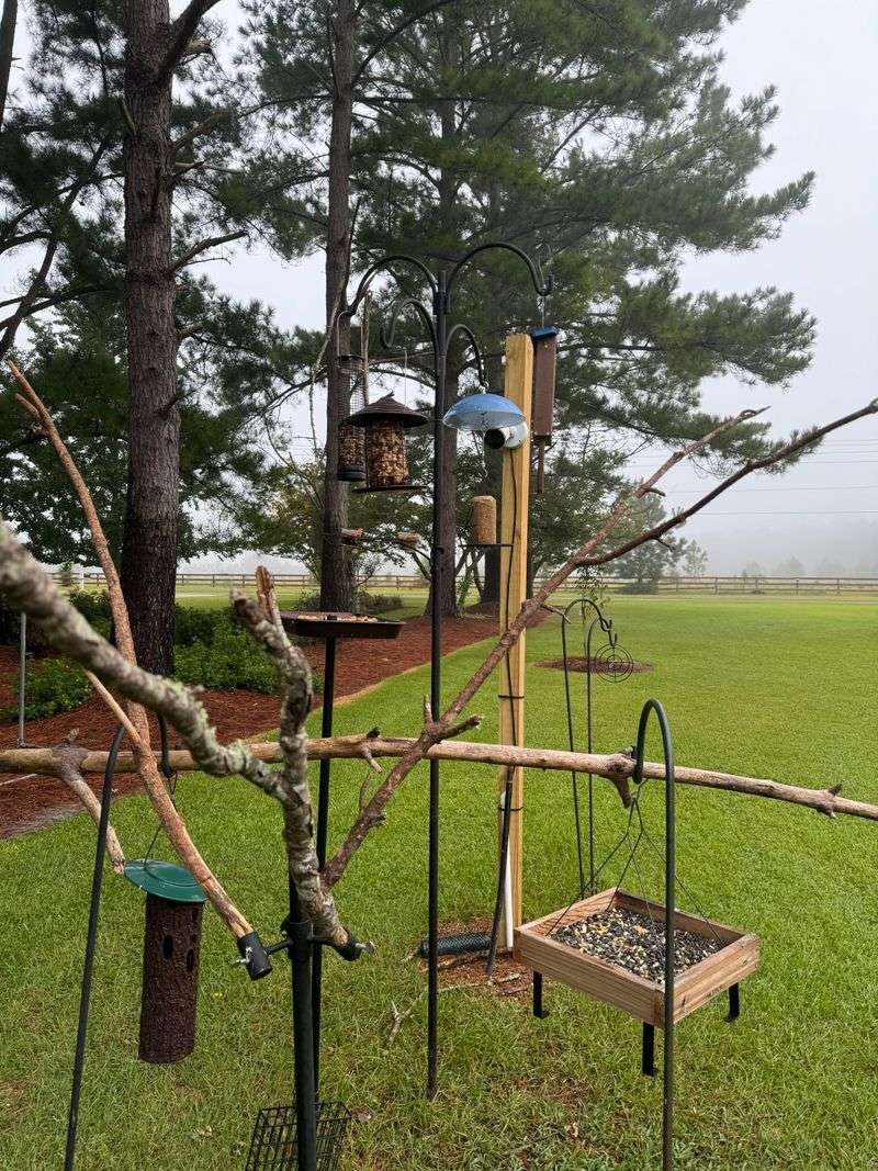 Create Distraction Feeding Stations