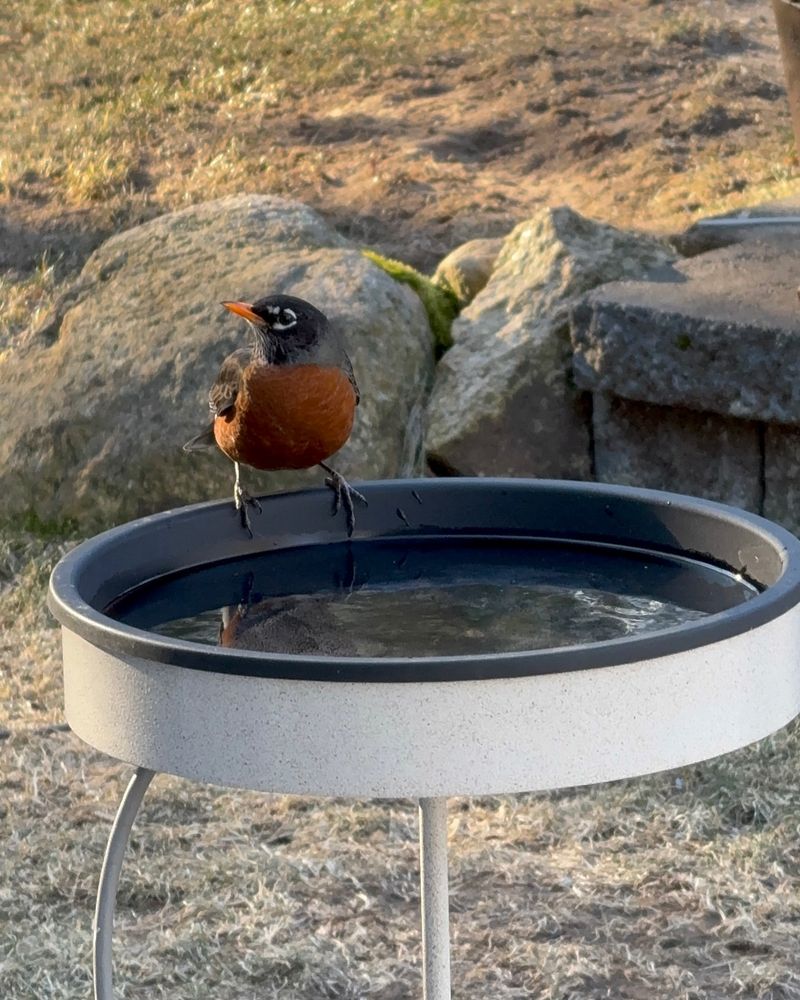 Keep Water Flowing Year-Round