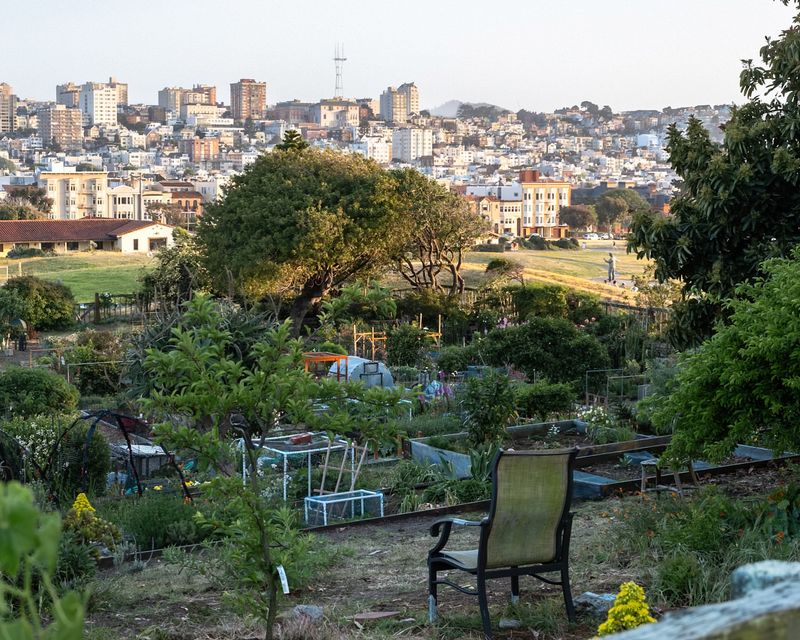 Chinatown Community Garden In San Francisco