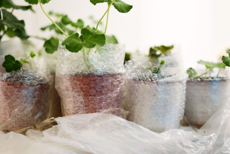 Preparations of plants with bubble wrap for the winter