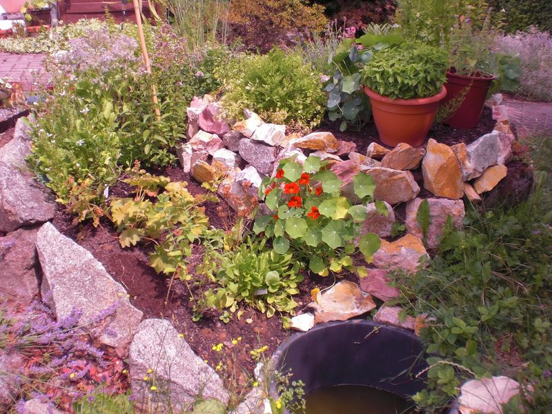 Immigrant Garden Traditions Find New Audiences