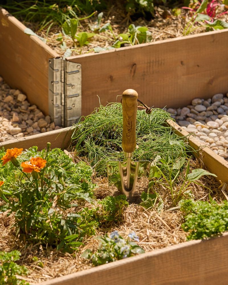 Chemical-Treated Gardens