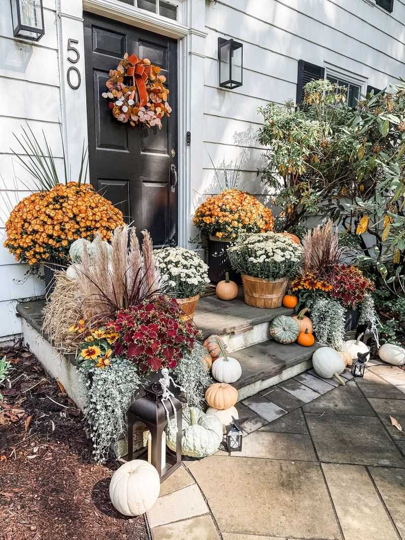 Mums and Pumpkins